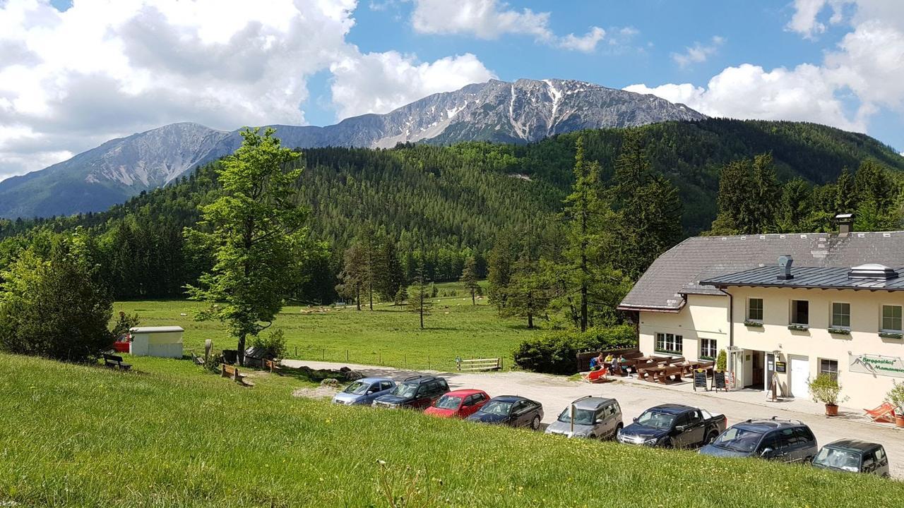 Ferienwohnungen Mamauwiese Gutenstein Экстерьер фото