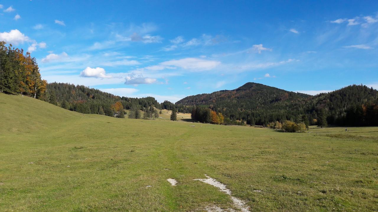 Ferienwohnungen Mamauwiese Gutenstein Экстерьер фото
