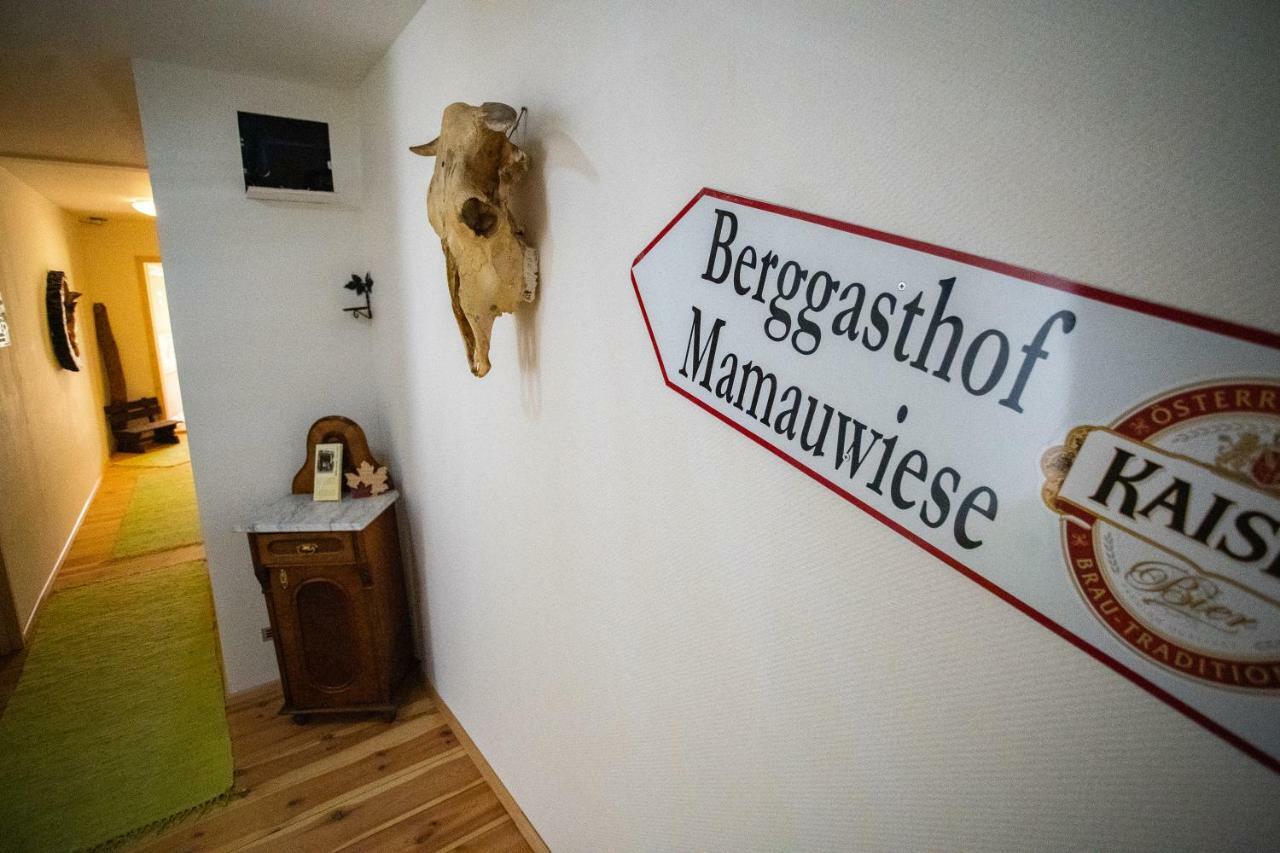 Ferienwohnungen Mamauwiese Gutenstein Экстерьер фото